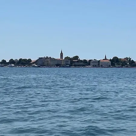 Ventula * Ζαντάρ