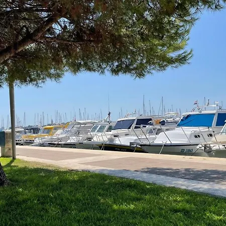 Ventula Διαμέρισμα *